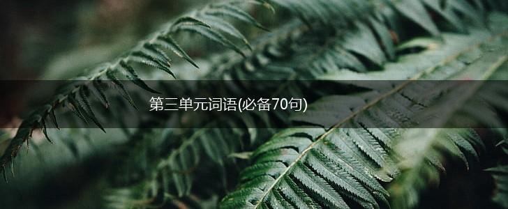 第三单元词语(必备70句),第1张