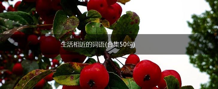生活相近的词语(合集50句),第1张