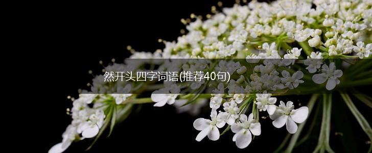 然开头四字词语(推荐40句),第1张