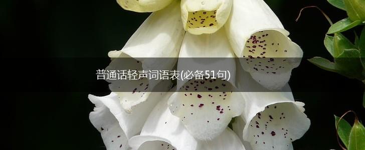 普通话轻声词语表(必备51句),第1张