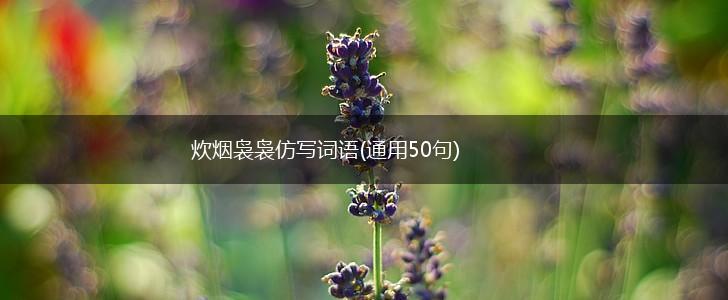 炊烟袅袅仿写词语(通用50句),第1张