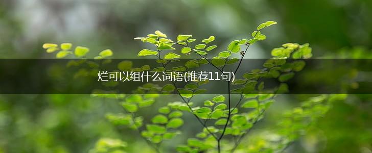 烂可以组什么词语(推荐11句),第1张