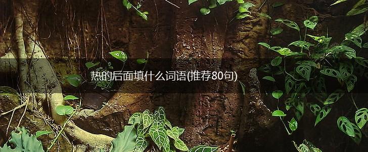 热的后面填什么词语(推荐80句),第1张