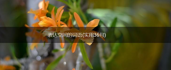 表达空间的词语(实用36句),第1张