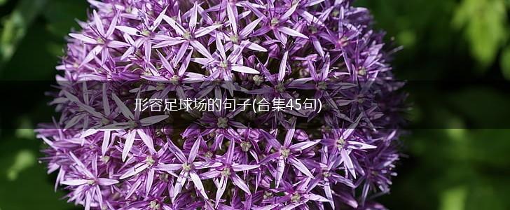 形容足球场的句子(合集45句),第1张
