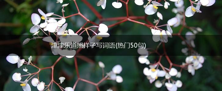 津津乐道照样子写词语(热门50句),第1张