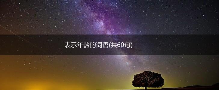 表示年龄的词语(共60句),第1张