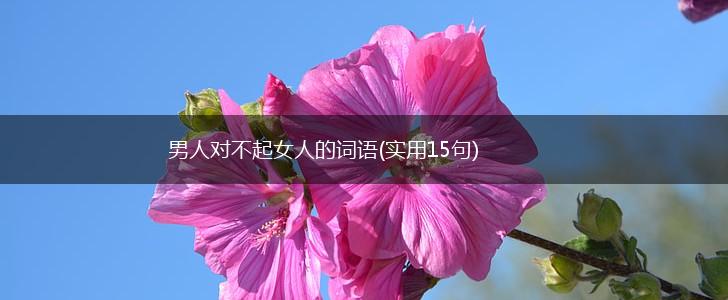 男人对不起女人的词语(实用15句),第1张