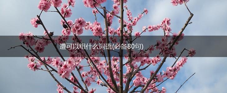 遭可以组什么词语(必备80句),第1张