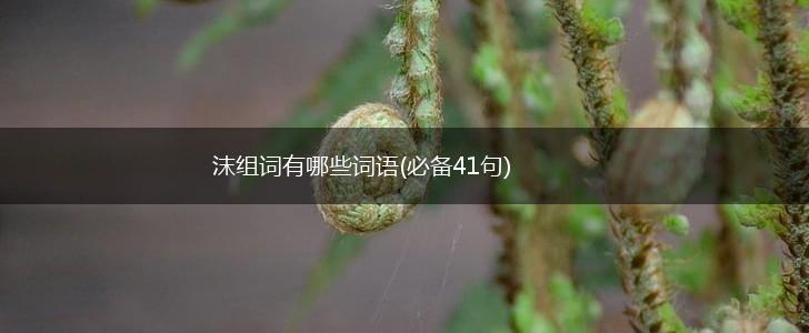 沫组词有哪些词语(必备41句),第1张