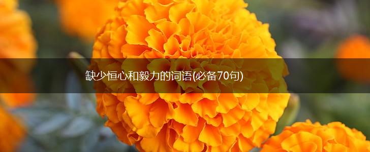 缺少恒心和毅力的词语(必备70句),第1张