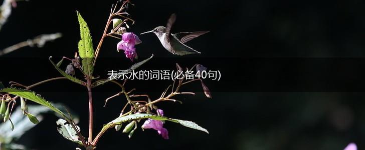 表示水的词语(必备40句),第1张