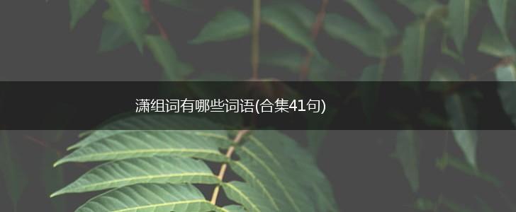 潇组词有哪些词语(合集41句),第1张