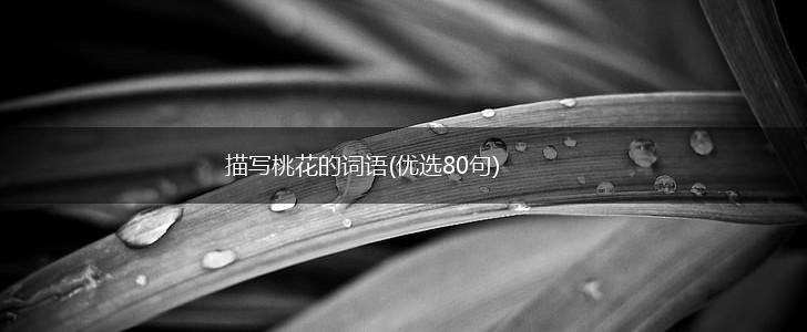 描写桃花的词语(优选80句),第1张