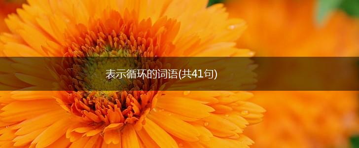 表示循环的词语(共41句),第1张
