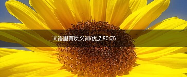 词语里有反义词(优选80句),第1张