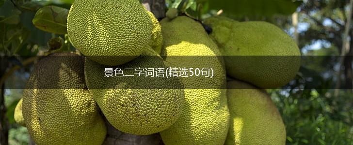 景色二字词语(精选50句),第1张
