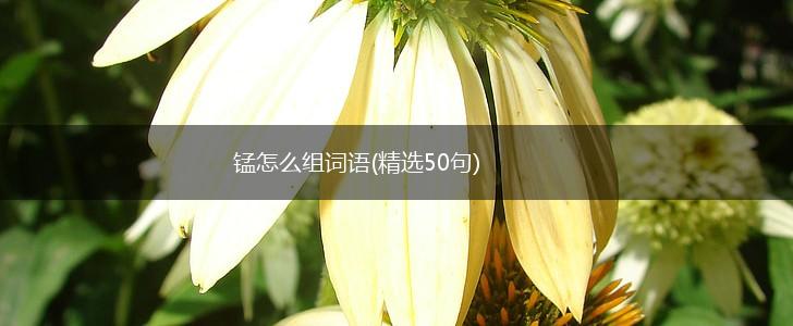 锰怎么组词语(精选50句),第1张