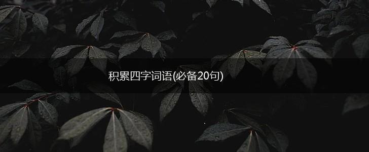 积累四字词语(必备20句),第1张