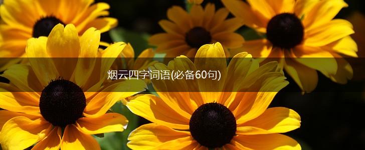 烟云四字词语(必备60句),第1张