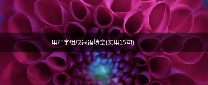 用严字组成词语填空(实用15句),第1张