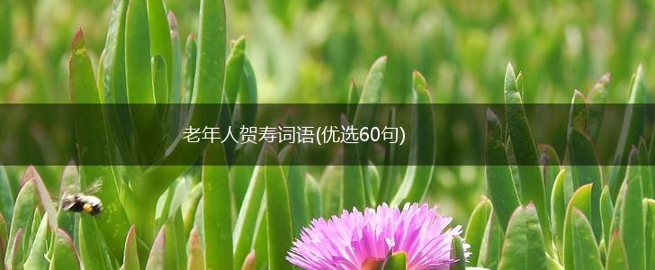 老年人贺寿词语(优选60句),第1张