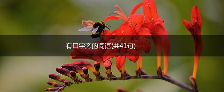 有口字旁的词语(共41句),第1张