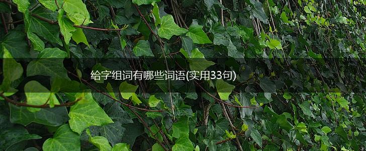 给字组词有哪些词语(实用33句),第1张
