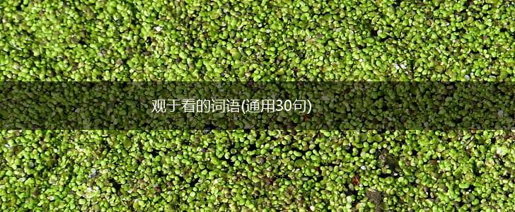 观于看的词语(通用30句),第1张