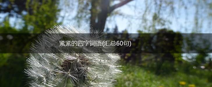 紧紧的四字词语(汇总60句),第1张