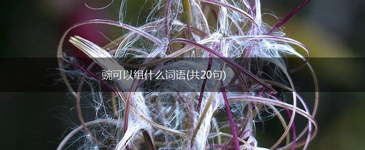 豌可以组什么词语(共20句),第1张