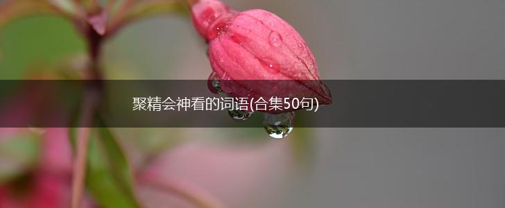 聚精会神看的词语(合集50句),第1张