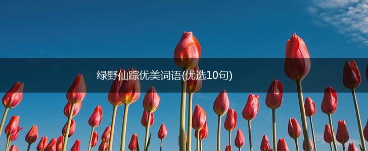 绿野仙踪优美词语(优选10句),第1张