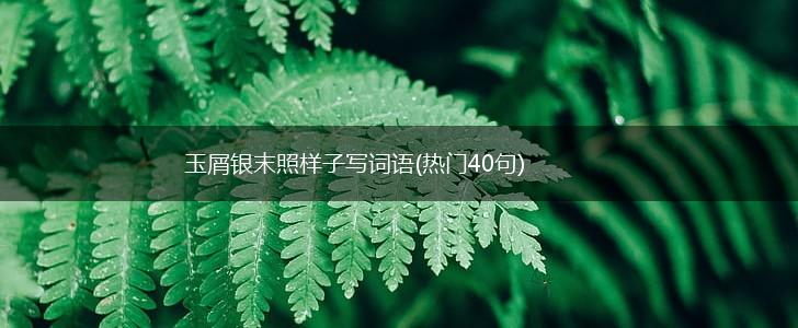 玉屑银末照样子写词语(热门40句),第1张