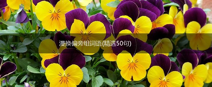 漫换偏旁组词语(精选50句),第1张