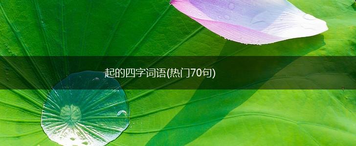起的四字词语(热门70句),第1张