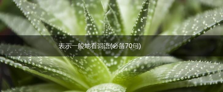 表示一般地看词语(必备70句),第1张