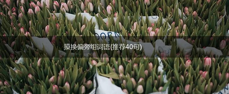 摸换偏旁组词语(推荐40句),第1张