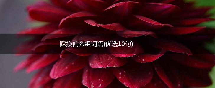 睬换偏旁组词语(优选10句),第1张
