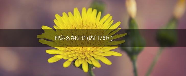 理怎么组词语(热门78句),第1张