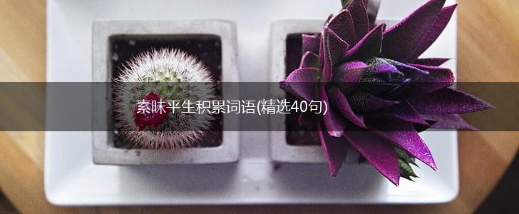 素昧平生积累词语(精选40句),第1张