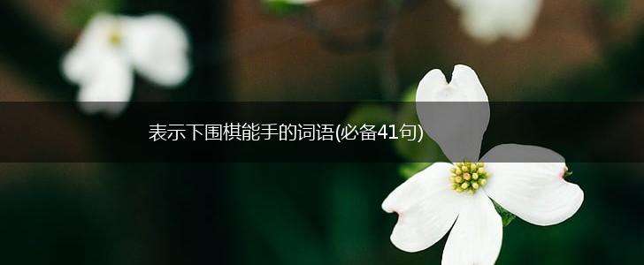表示下围棋能手的词语(必备41句),第1张