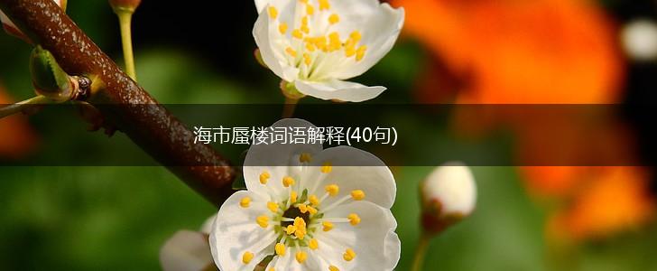 海市蜃楼词语解释(40句),第1张