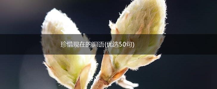 珍惜现在的词语(优选50句),第1张
