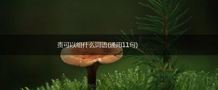 责可以组什么词语(通用11句),第1张