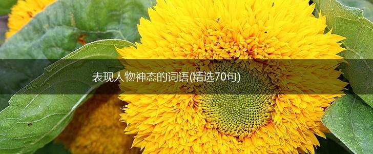 表现人物神态的词语(精选70句),第1张