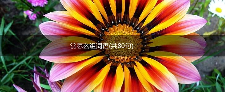 赏怎么组词语(共80句),第1张