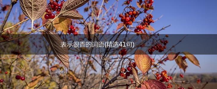 表示很香的词语(精选41句),第1张