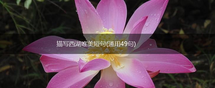 描写西湖唯美短句(通用49句),第1张