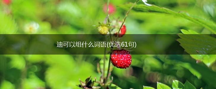 迪可以组什么词语(优选61句),第1张